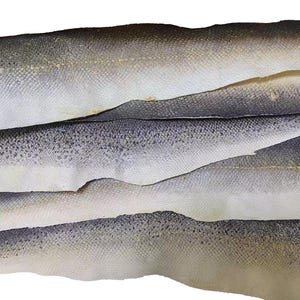 Peut inclure: Une collection de quatre bandes de peau de poisson séchée disposées en pile. Chaque bande présente une surface texturée à motif d'écailles avec un dégradé de couleurs allant du gris anthracite foncé sur le bord supérieur au blanc cassé en bas.