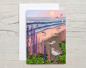 Western Sandpiper GREETING CARD