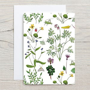 Pacific Northwest Wildflowers GREETING CARD