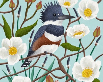Belted Kingfisher, Rock Rose, and Plantain Print – wildlife Illustration