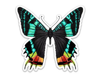 Madagascar Sunset Moth - VINYL WATERPROOF STICKER