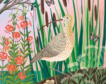 Long billed Curlew with Wildflowers Print – wildlife Illustration