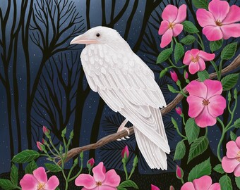 White Raven & Wild Roses – wildlife Illustration