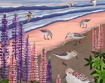 Western Sandpiper with Wildflowers Print – wildlife Illustration