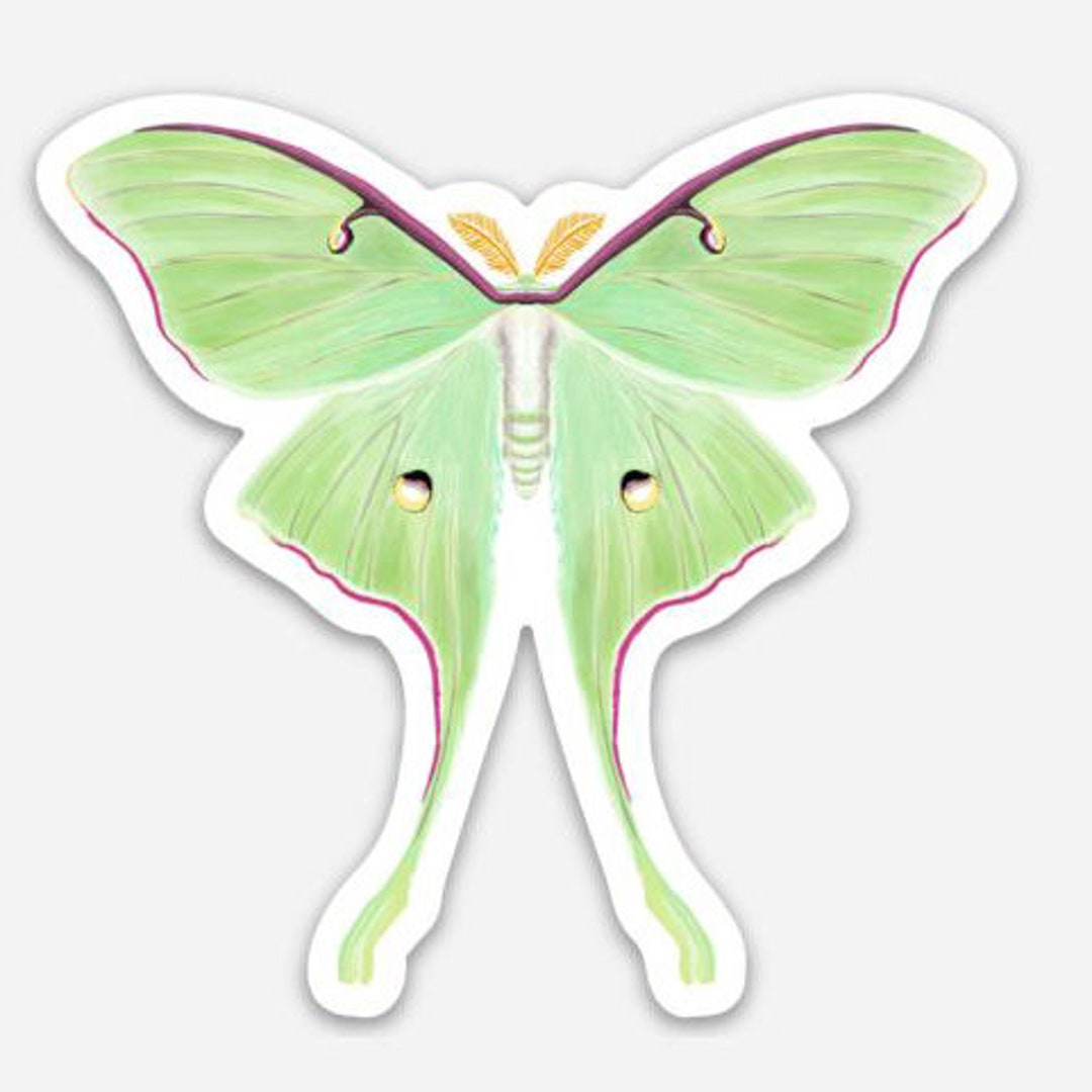 Luna Moth VINYL WATERPROOF STICKER - Etsy