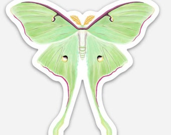 Luna Moth VINYL WATERPROOF STICKER