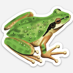 Pacific Green Tree Frog VINYL WATERPROOF STICKER