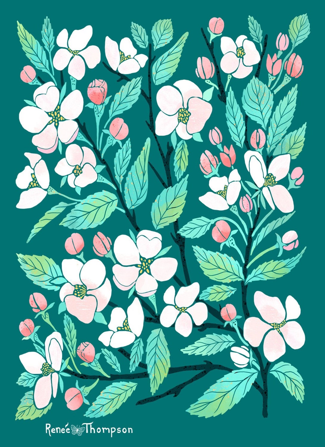 Apple Blossom Art Print – Floral Botanical Illustration - Etsy