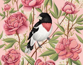 Rose Breasted Grosbeak & Peonies Print – wildlife Illustration