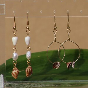 Shell Earrings