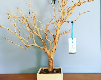 24" All Natural Jewelry Tree / Jewelry Organizer