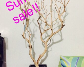 19" Natural Jewelry Tree with black box and black rocks / Jewelry Organizer west coast shipping