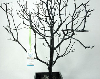 19" painted Jewelry Tree Accessory holder / Jewelry Organizer