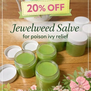 Jewelweed Salve, Poison Ivy Remedy, Itch Relief, Natural Poison Ivy Relief, Camping Essentials, Insect Itch Salve, Rash Relief Salve