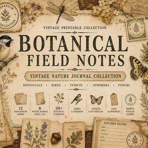 Puede incluir: Una colección imprimible vintage titulada Botanical Field Notes con gráficos de temática natural que incluyen un pájaro, una libélula, una mariposa, setas y helechos sobre papel envejecido. El set incluye 12 papeles de fondo, 8 páginas de diario, 30 elementos botánicos, pájaros, plumas, insectos, mariposas, etiquetas, efímeros y sellos vintage de regalo.
