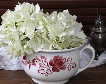 Olla antigua de piedra de hierro Digoin Sarreguemines: plantadora de rosas florales francesas