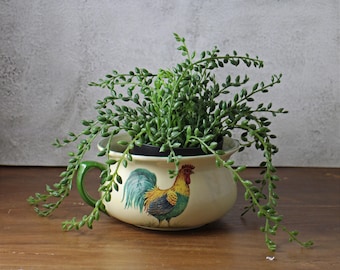 Orinal inglés vintage de hierro pequeño con motivo de gallo - Stoke-on-Trent, Inglaterra - Macetero de cerámica con diseño de cruz de garza de decoración rural