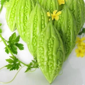 May include: A close-up of several green bitter gourds with a bumpy texture, arranged on a white surface. Yellow flowers and green leaves with vines are also present, adding a natural touch to the composition.