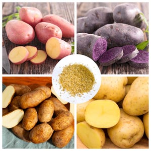 May include: A collage of potatoes, showcasing different varieties. Red-skinned potatoes, some sliced, are displayed alongside purple-fleshed potatoes, also sliced. Brown potatoes and yellow potatoes, whole and cut, are also shown. A central circle contains a pile of dried potato flakes.