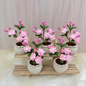 May include: Six handmade crochet flower arrangements. Each features pink blossoms, green leaves, and brown stems, planted in a white crocheted pot. The pots are arranged on two wooden shelves, creating a decorative display.