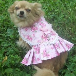 Patroon van de hondenjurk------- HART Lijfje Jurk-----Mooi en lief----Shabby Chic----is ook een harnas