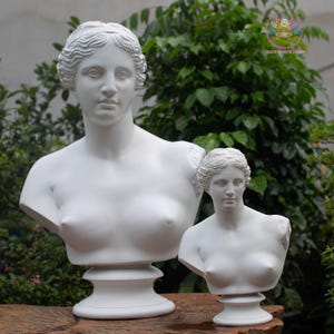 Puede incluir: Se exhiben dos bustos de yeso blanco de una mujer, uno grande y otro pequeño. Los bustos representan una figura femenina clásica con rasgos faciales detallados y un peinado drapeado. Las esculturas se colocan sobre un fondo de follaje verde.
