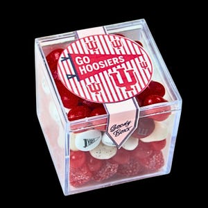 Custom Favor Candy Cube- College gift sweet treat Michigan, Wisconsin, IU