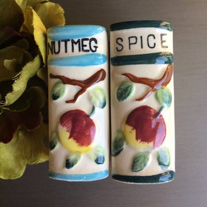 Cinnamon Shaker and Spice Shaker Shaped Like Book Set of 2