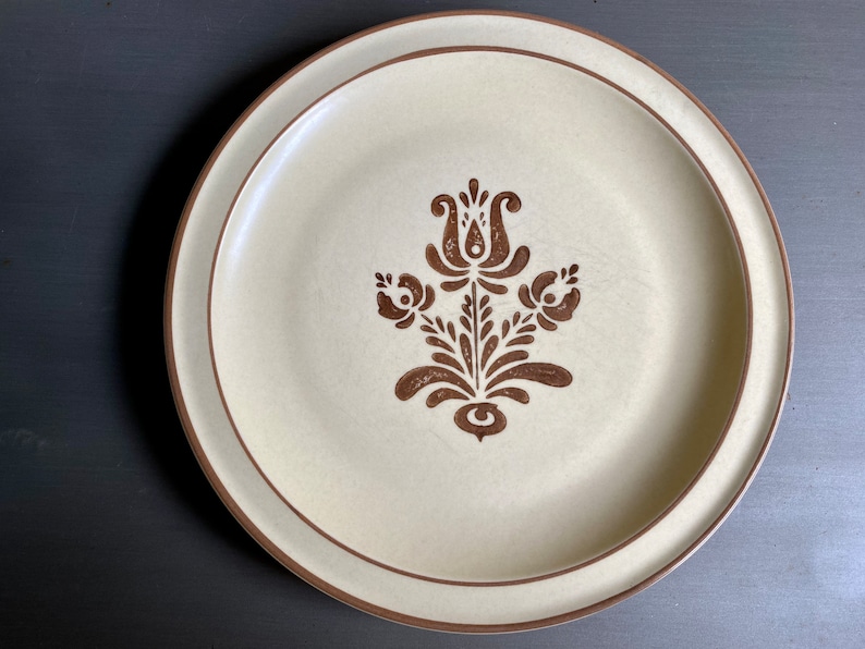 Pfaltzgraff Village Dinner Plates