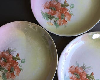 Poppy Plates, Antique Hand Painted Plates, Antique Porcelain Plates