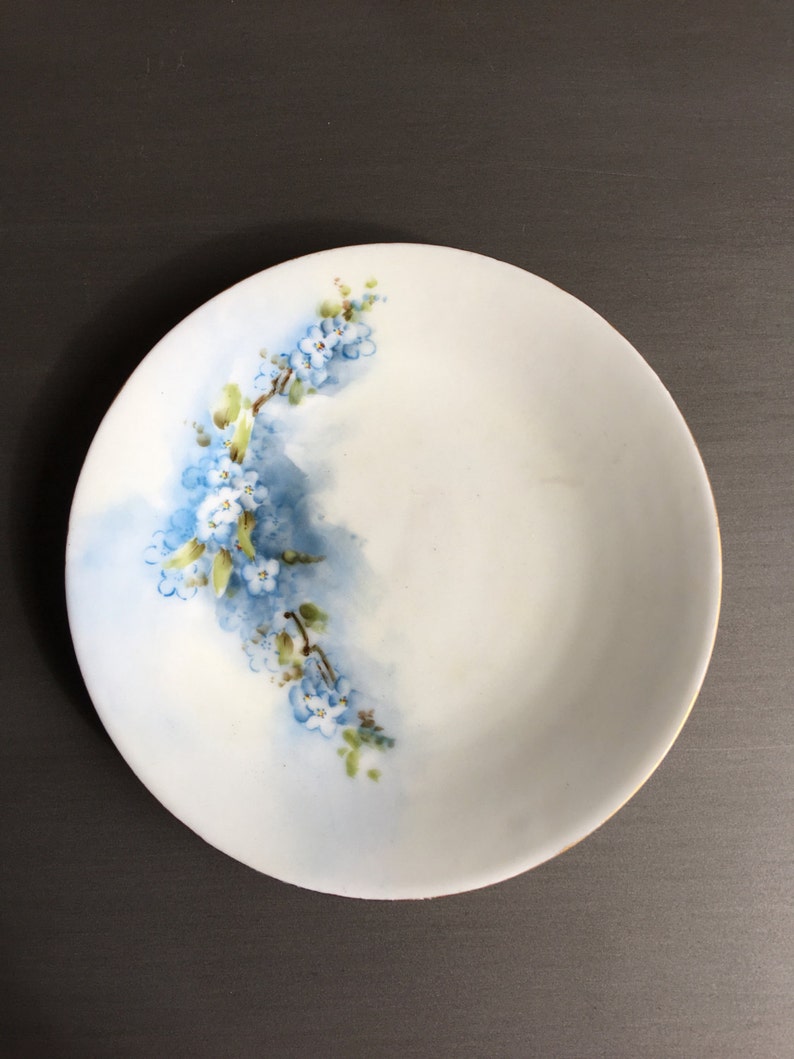 O&EG Royal Austria China Hand Painted Plates Antique Antique Etsy