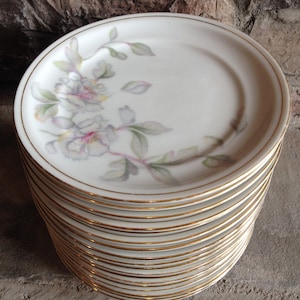Vintage Floral Dessert Plates, Meito China Plates, 18 Piece Plate Set