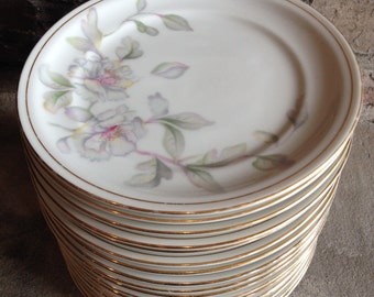 Vintage Floral Dessert Plates, Meito China Plates, 18 Piece Plate Set