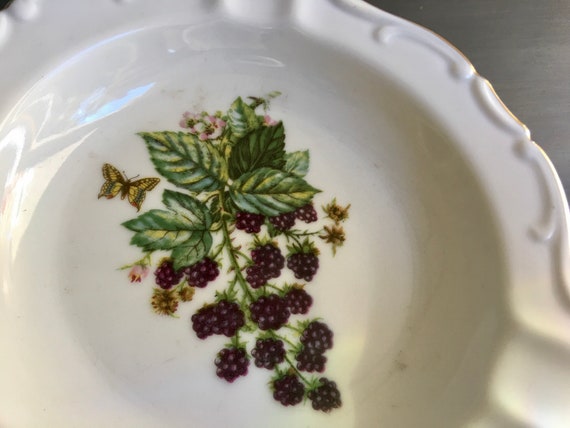 Golden Crown E&R 1886, Vintage Blackberry China Dish, Western