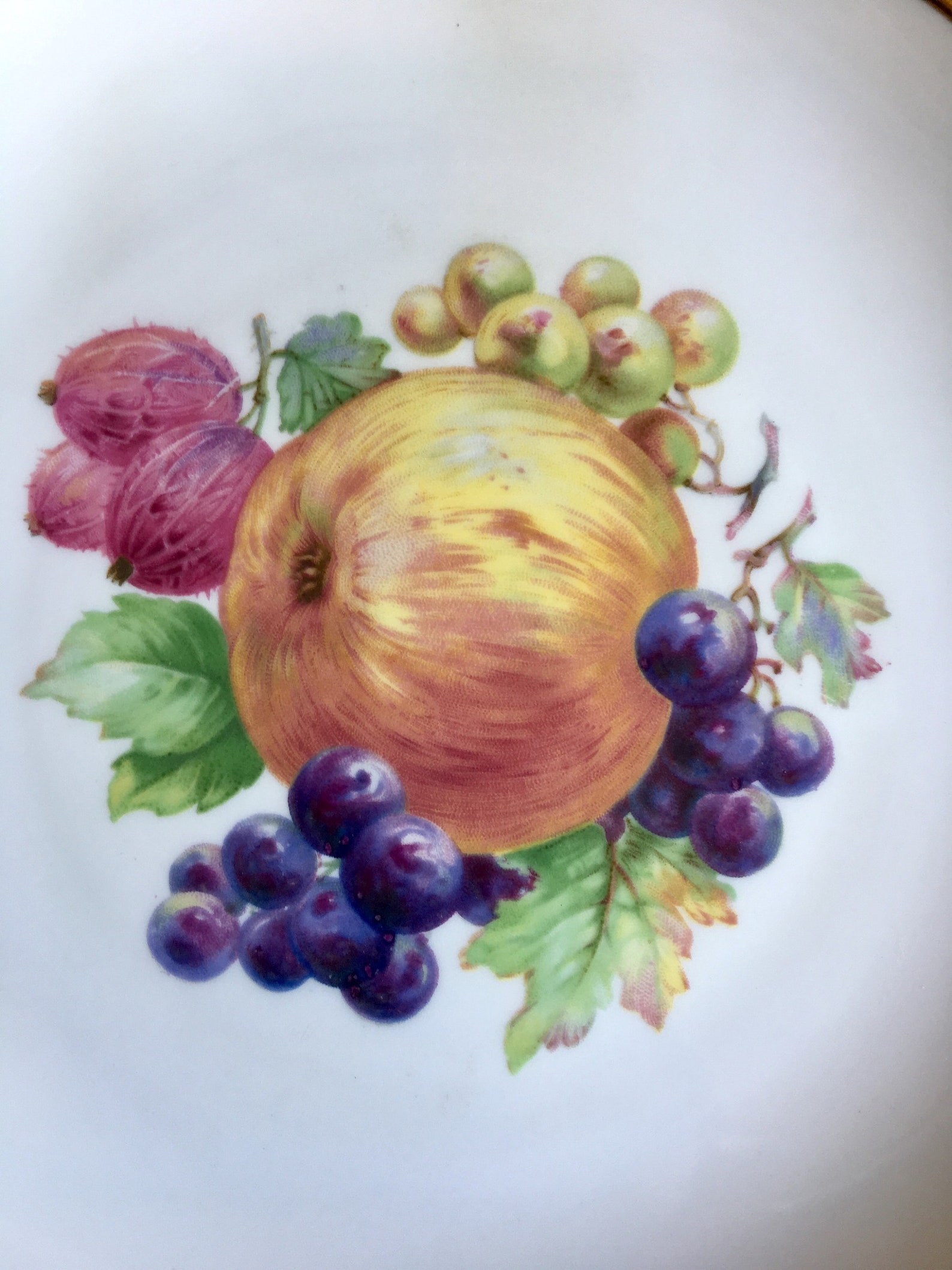 Fruit Design Plates Hutschenreuther Selb Fruit Plates Etsy