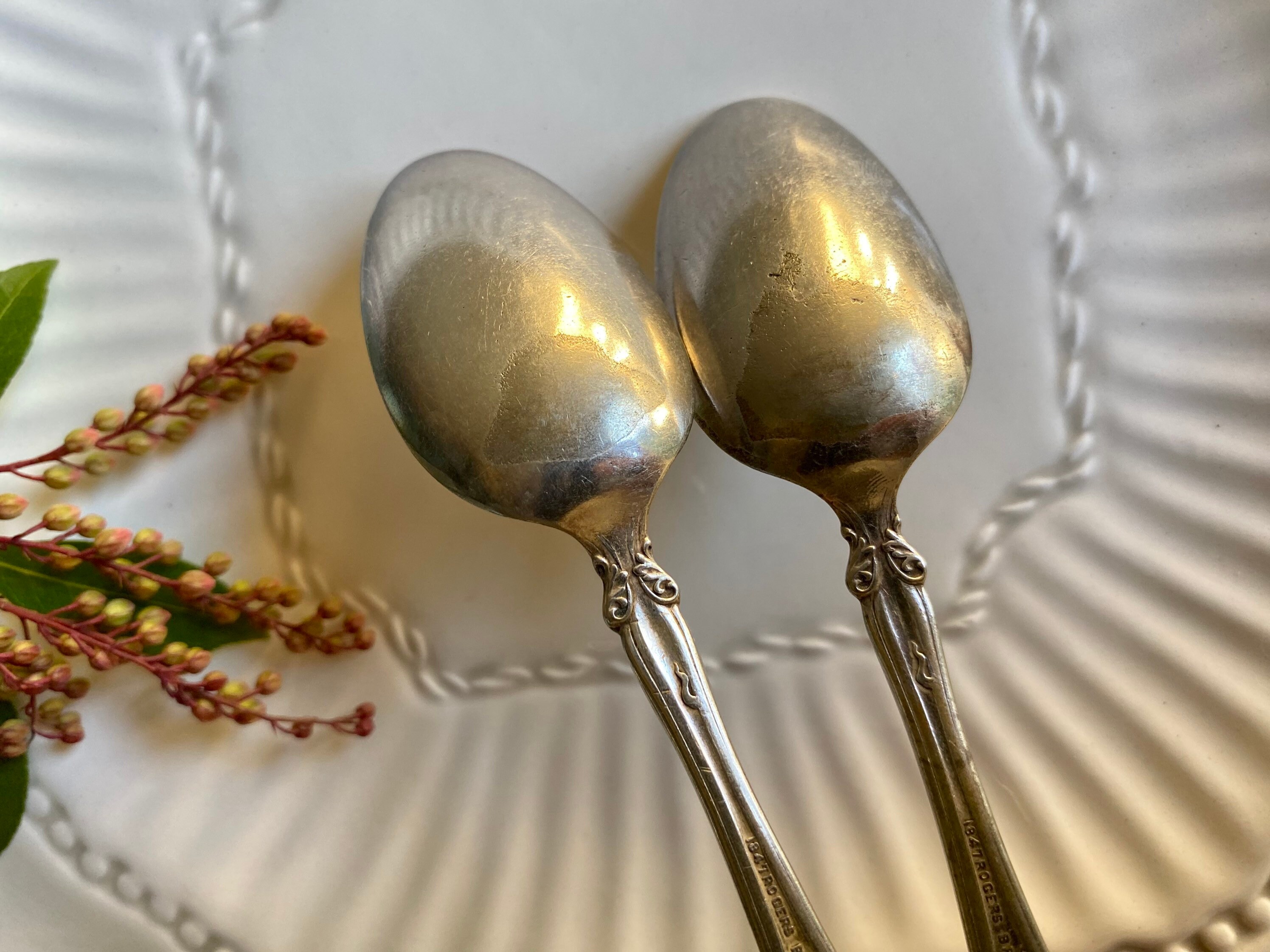 1847 Rogers Bros XS Triple Grape Pattern Spoons - Etsy