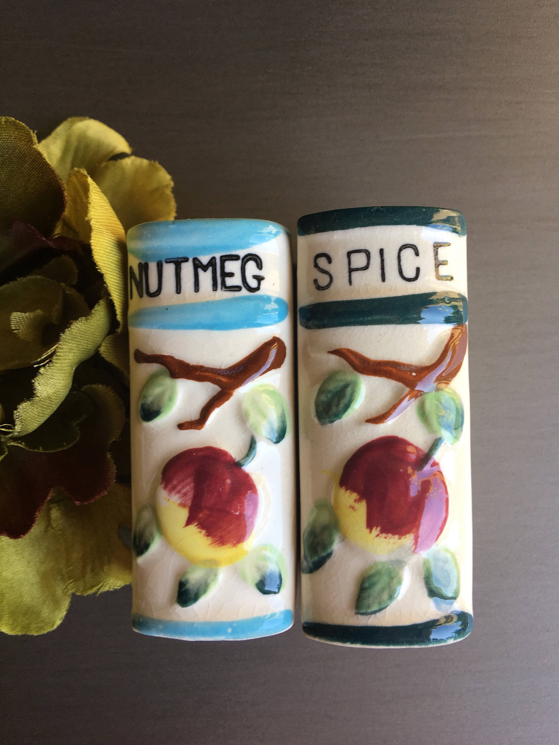 Cinnamon Shaker and Spice Shaker Shaped Like Book Set of 2