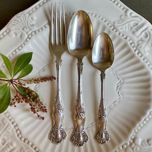 Rogers Bros 1847 Silverware, Vintage Grape Silverplate