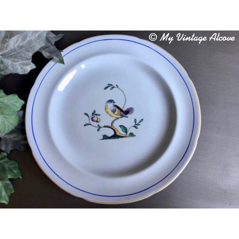 spode queen's bird