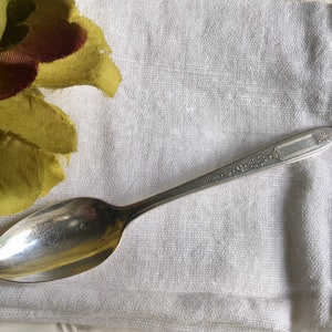 Community Spoon Silver