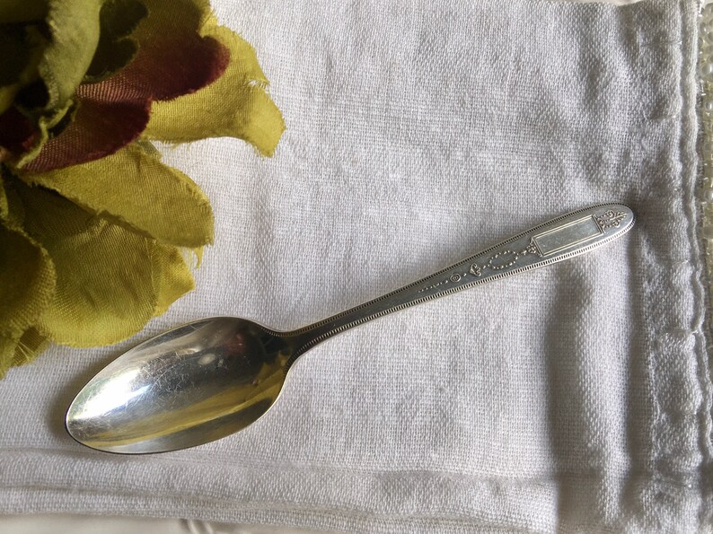 Community Spoon Silver