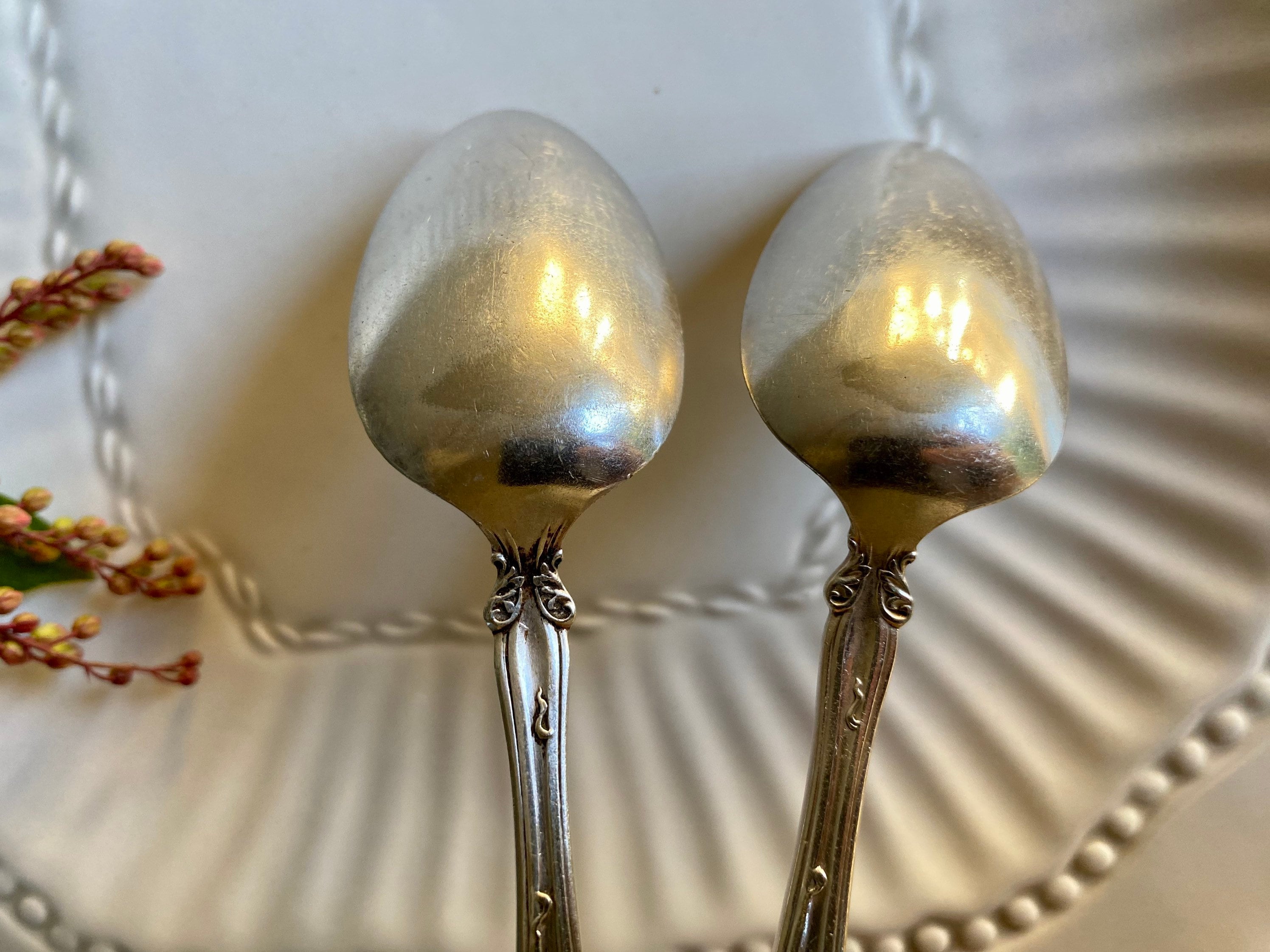 1847 Rogers Bros XS Triple Grape Pattern Spoons - Etsy