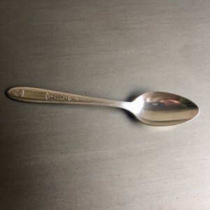 May include: A silver teaspoon with a decorative pattern on the handle.