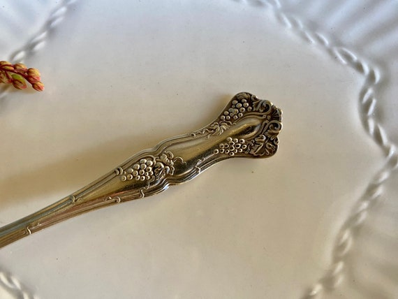 1847 Rogers Bros XS Triple Grape Pattern Spoons - Etsy