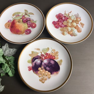 Vintage Fruit Plates, Vintage Hand Painted Fruit Plates, Jaeger Plates, German Fruit Plates