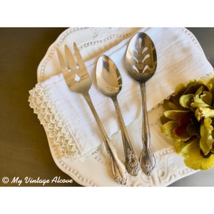 Stainless Steel Serving Utensils