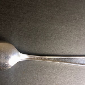 May include: A silver spoon with the words "Community Plate" engraved on the handle.