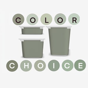 May include: Three sage green storage containers with white rims are displayed. The containers vary in size, with the largest being tall and rectangular. The word "COLOR" is above the containers, and "CHOICE" is below, each letter in a separate green circle.