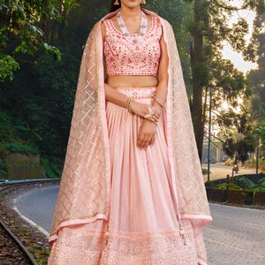 May include: A light pink embroidered lehenga choli set. The set includes a sleeveless crop top, a high-waisted skirt, and a sheer dupatta. The outfit features intricate embroidery and embellishments. The model is wearing gold jewelry.