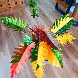 Variegated alocasia maharani - Etsy 日本